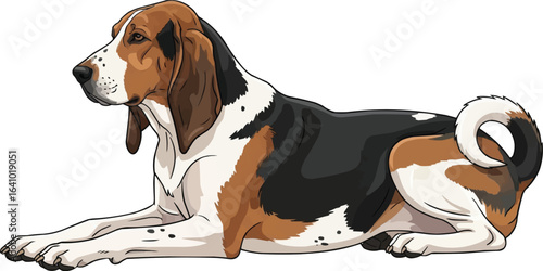 American Foxhound Dog lying down - side view vector illustration