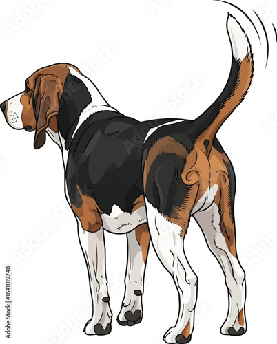 American Foxhound Dog wagging tail rear view happy vector illustration