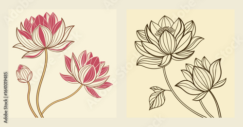Lotus Flowers Illustrations with Stems and Leaves