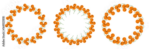 Sea buckthorn berry wreath frame set in flat vector style, botanical circular borders for autumn design, invitations, and natural product decoration.