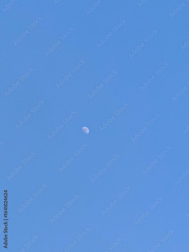 moon moon