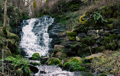 Ruisseau en cascade