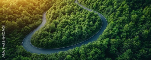 Summer photo of a winding forest road curve, symbolizing the beauty and serenity of nature during the warm season, Generative AI