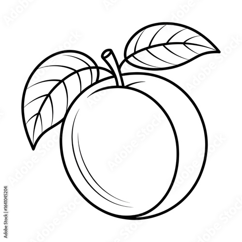 A black and white fruit apricot illustration line art of a coloring page