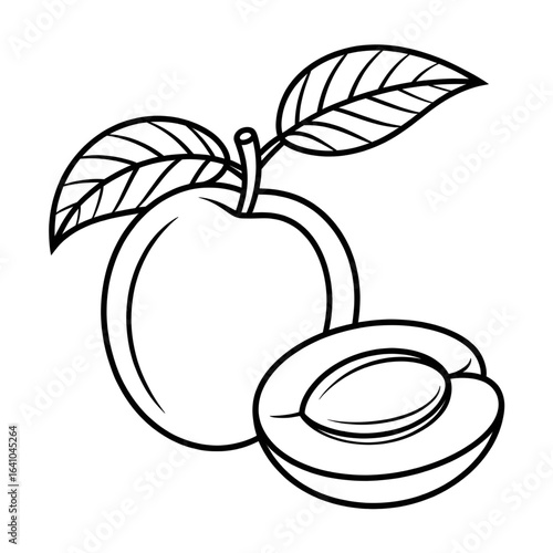 A black and white fruit apricot illustration line art of a coloring page 