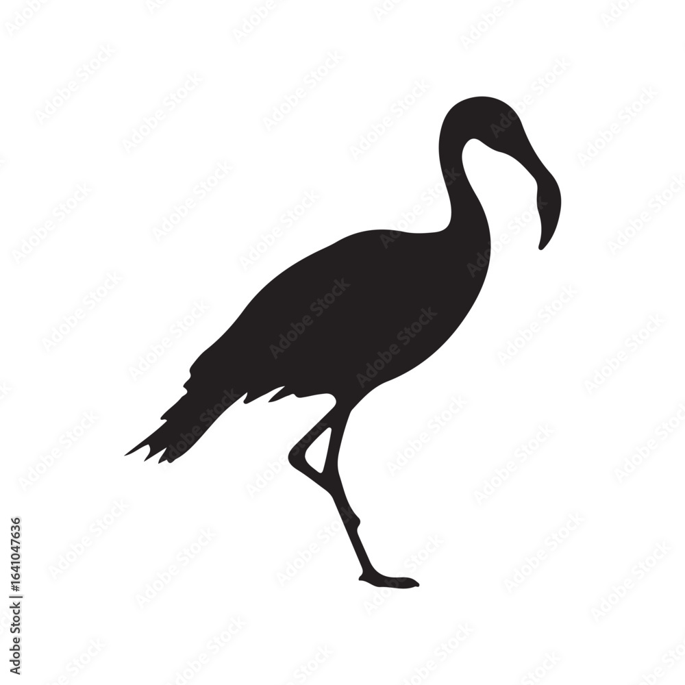 Obraz premium black crowned crane bird