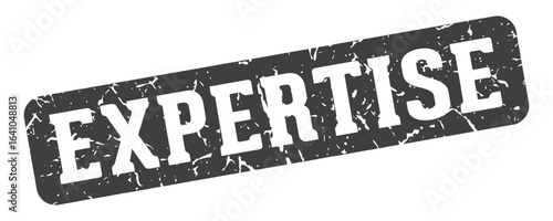 expertise rectangular sign. expertise stamp