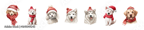 Cute dogs in winter scarfs, Vector, Watercolor. Collection of Vector  illustrations. Cozy Watercolor clip art elements, ready to print. Perfect for invitation, card, poster, banner, decorations