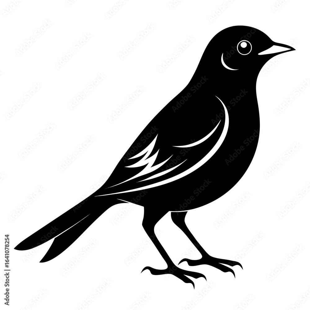 Obraz premium Nightingale vector clean black silhouette design white background