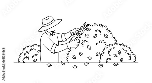 Gardener in Hat Trimming Bush with Shears, Falling Leaves