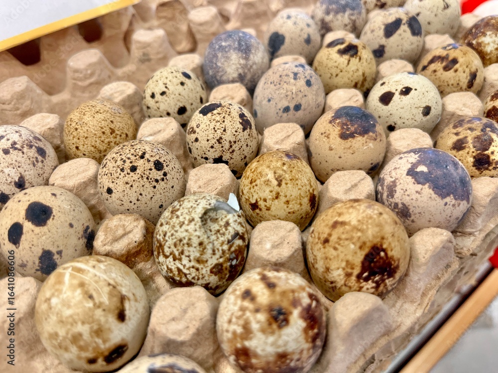Obraz premium quail eggs on wooden background