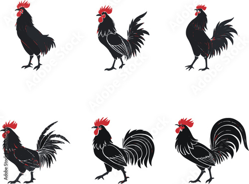 rooster and cock