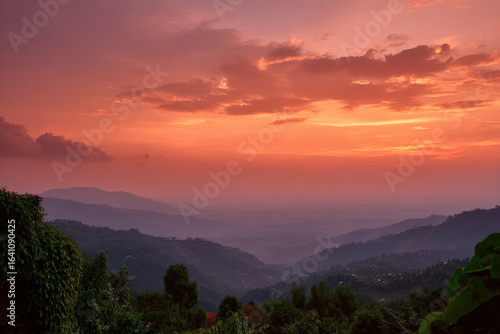 Wallpaper Mural breathtaking sunsets captured in dense forests across  different countries with nature untouched beauty Torontodigital.ca