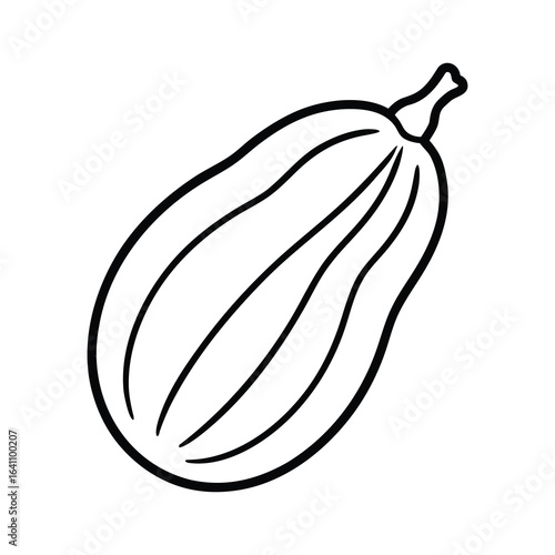 outline bitter melon on a white background.