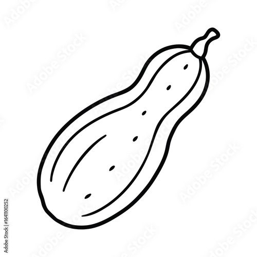 outline bitter melon on a white background.