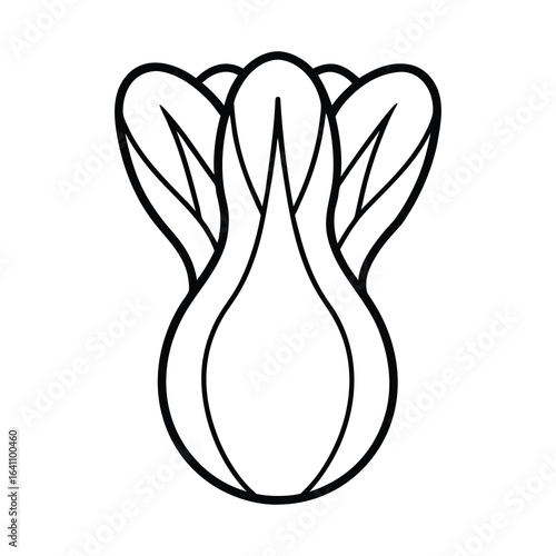 outline bok choy on a white background 