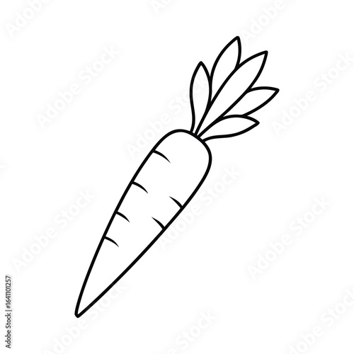 outline carrot with leaves on a white background 