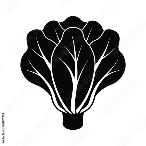 silhouette illustration bok choy on white background