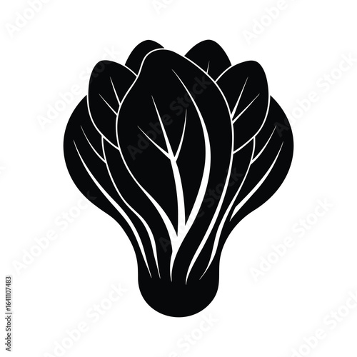 silhouette illustration bok choy on white background