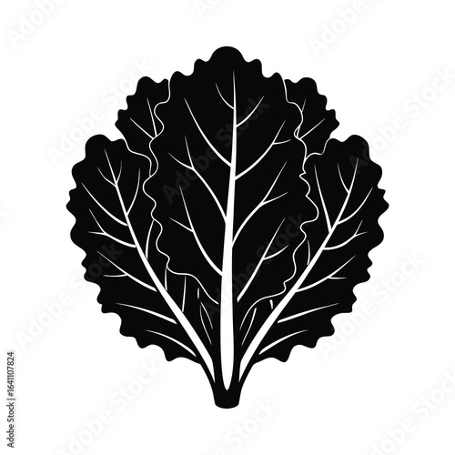 silhouette illustration kale leaves