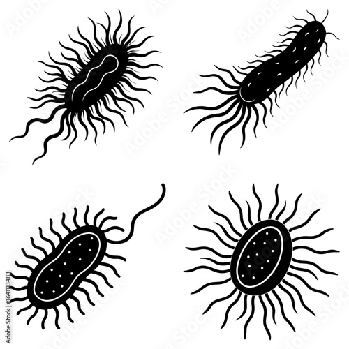 Illustration showing four different types of bacteria cells with flagella in black and white style