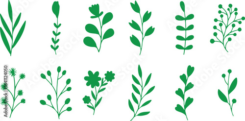 Green Botanical Plant Vector – Leaves, Stems, Nature, Garden, Foliage, Organic, Flora, Herb, Decorative, Natural, Green Icon, Plant Art, Graphic