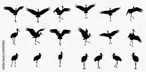 A set of black stork silhouettes in various dynamic poses, showing the bird dancing, flapping its wings, walking, and standing still.