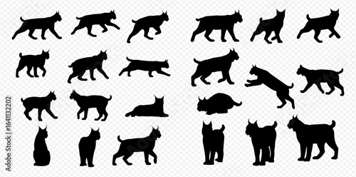 A collection of black lynx silhouettes showing the wild cat in various poses like walking, running, jumping, and sitting.