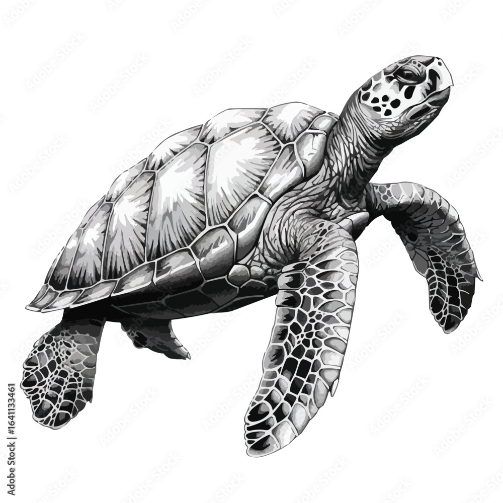 Fototapeta premium Detailed Sea Turtle Side View Vector Drawing