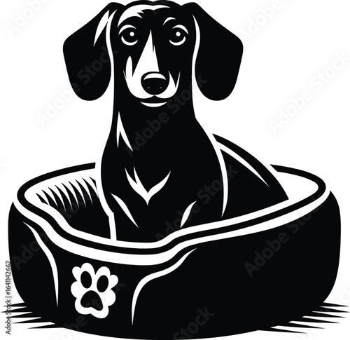 Dachshund Sitting in Dog Bed – Black and White Vector Illustration