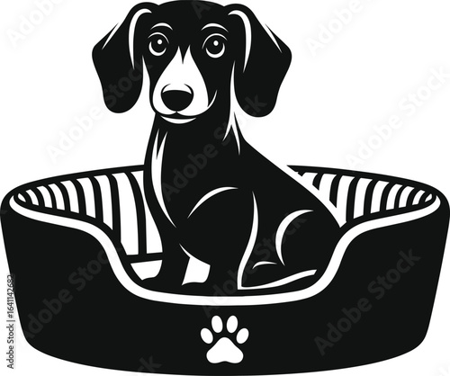 Dachshund Sitting in Cozy Dog Bed – Black and White Vector Illustration