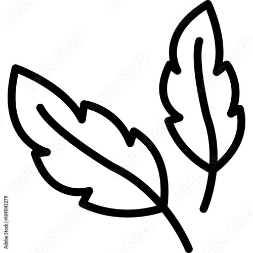 Feathers Icon