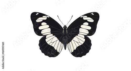 Elegant black and white butterfly, isolated on pure white background