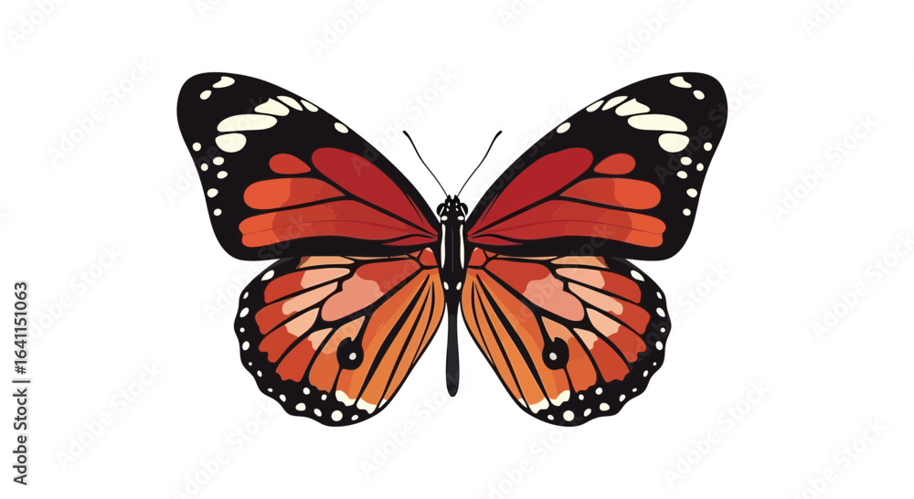 Obraz premium A Vector Illustration of a Striking Monarch Butterfly with Detailed Wings