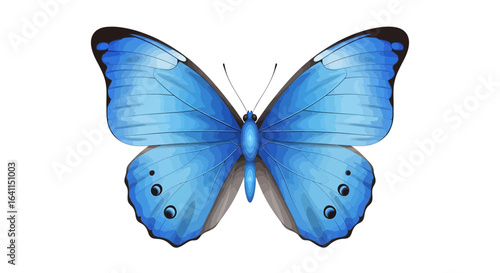 A delicately illustrated blue butterfly isolated against a clean white backdrop