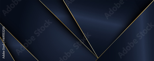 luxurious dark navy background. elegant modern background. eps vector eps10