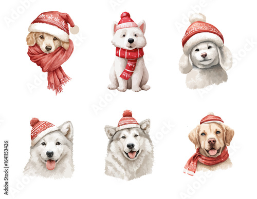 Cute Watercolor clip art elements, ready to print. Cute dogs in winter scarfs, Vector, Watercolor. Collection of Vector illustrations. Perfect for invitation, card, poster, banner, decorations