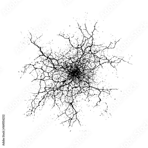 Minimalist abstract black and white splatter pattern resembling cracked earth or branching veins radiating outward evenly vector