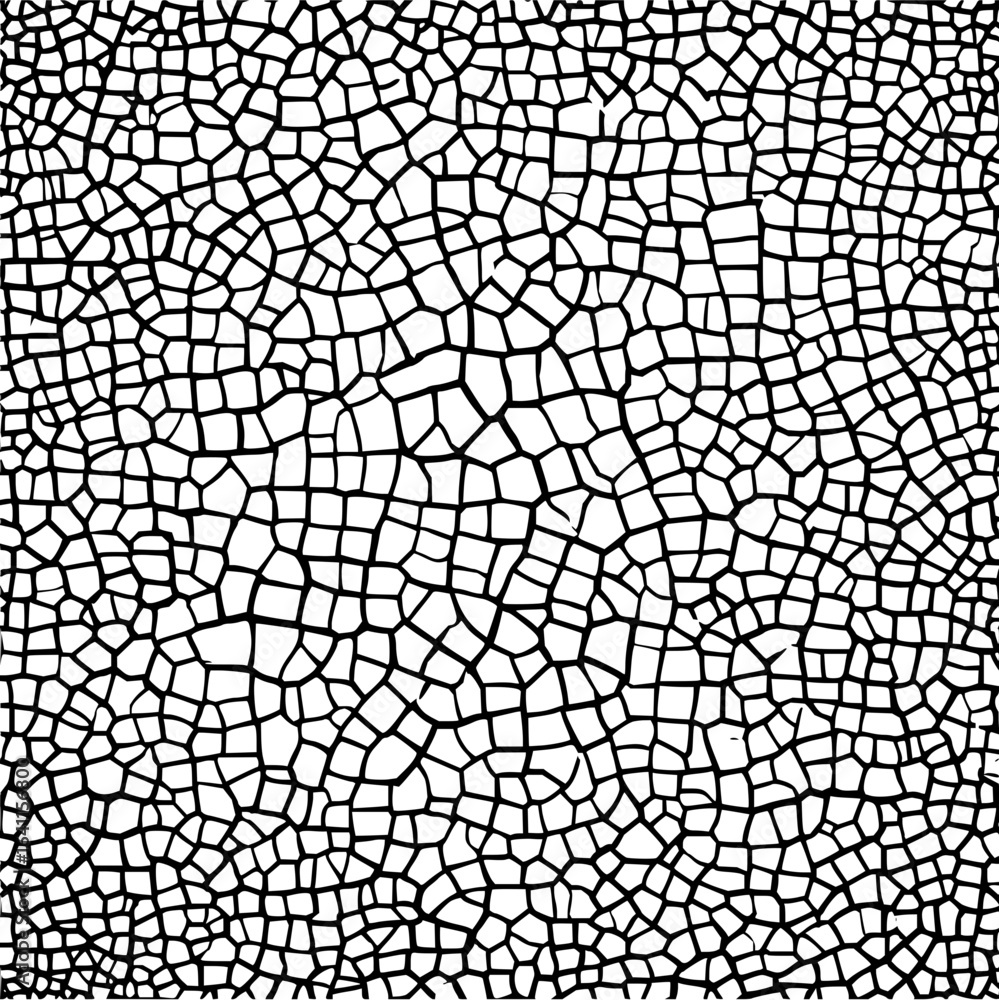 Obraz premium Minimalist black irregular cell pattern on a white background creating a mosaic like structure with distinct lines vector