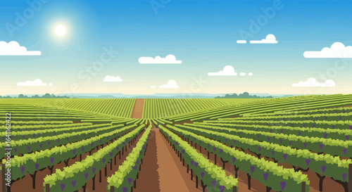 Scenic Vineyard Vista with Lush Green Rows and a Bright Azure Sky