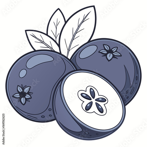 Illustration of blueberries with leaves and a sliced blueberry isolated on white