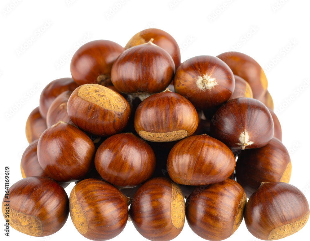 Obraz premium Fresh Chestnuts with Glossy Brown Shells, Closeup Front View, Isolated on Transparent Background