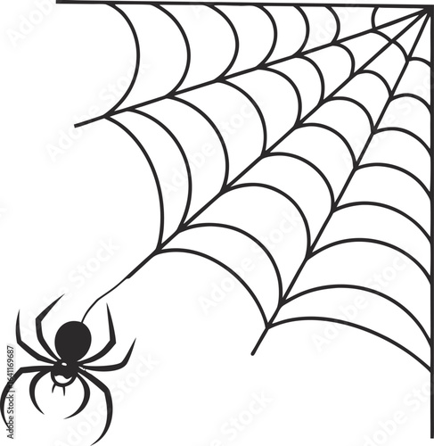 spider hanging on cobweb in corner