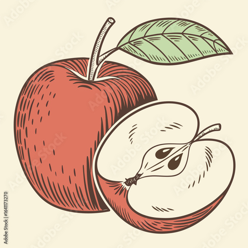 Apple Orchard Delight Hand-Drawn Illustration of Whole and Half Apples with Leaf