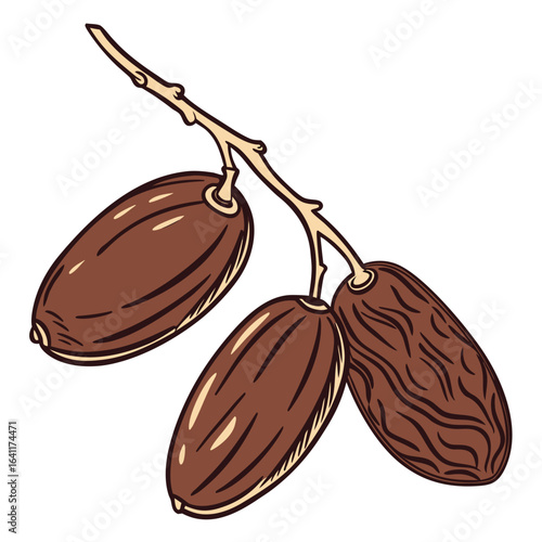 Stylized Illustration of Three Brown Dates on a Branch, Isolated on White