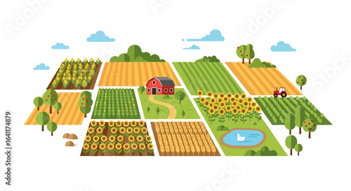 Vibrant countryside landscape illustration featuring diverse agricultural fields