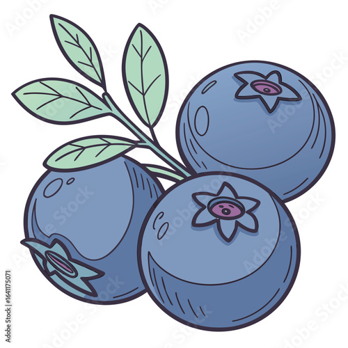 Three ripe and juicy blueberries clinging to a verdant green stem