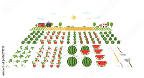 Vibrant watermelon and tomato farm illustration with rural landscape backdrop