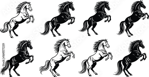 Rearing horse illustrations, black and white artwork, dynamic pose, flowing mane, muscular horse, equine sketch, artistic contrast, horse anatomy, powerful stance