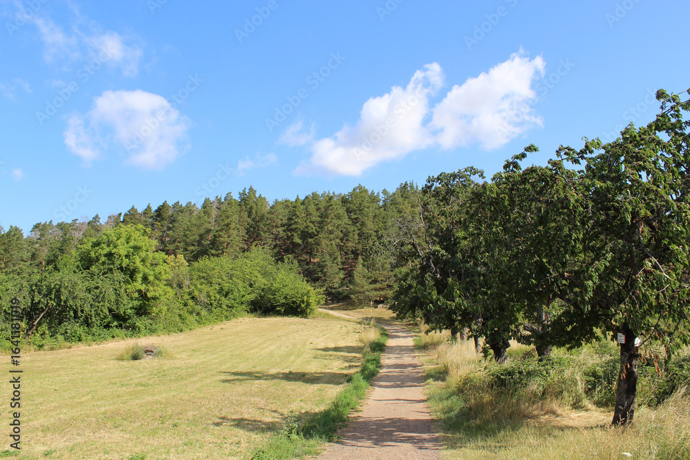 Auf dem Weg zur Teufelsmauer, Timmenrode, Harz Auf dem Weg zur Teufelsmauer, Timmenrode, Harz